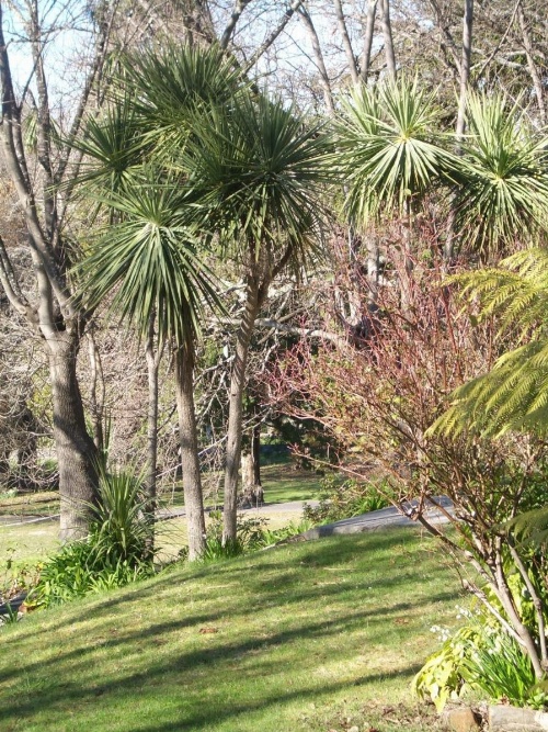 Lucinda B&B image 5